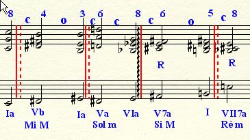 img0081.jpg
